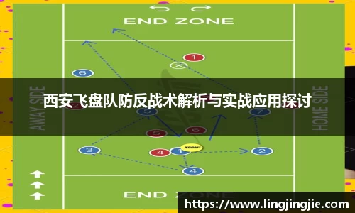 西安飞盘队防反战术解析与实战应用探讨